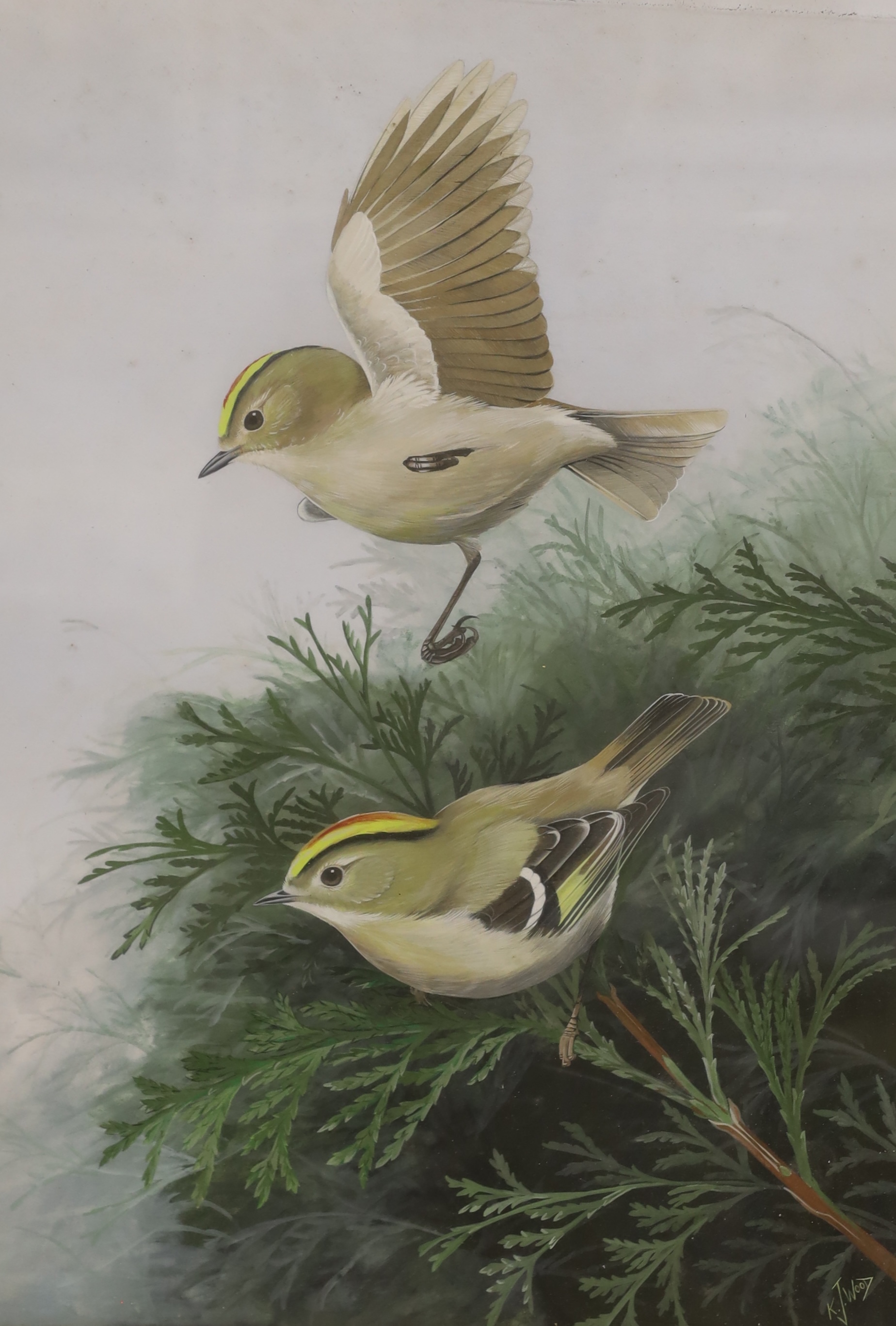 K J Wood, gouache, Firecrests, signed, 50 x 35cm